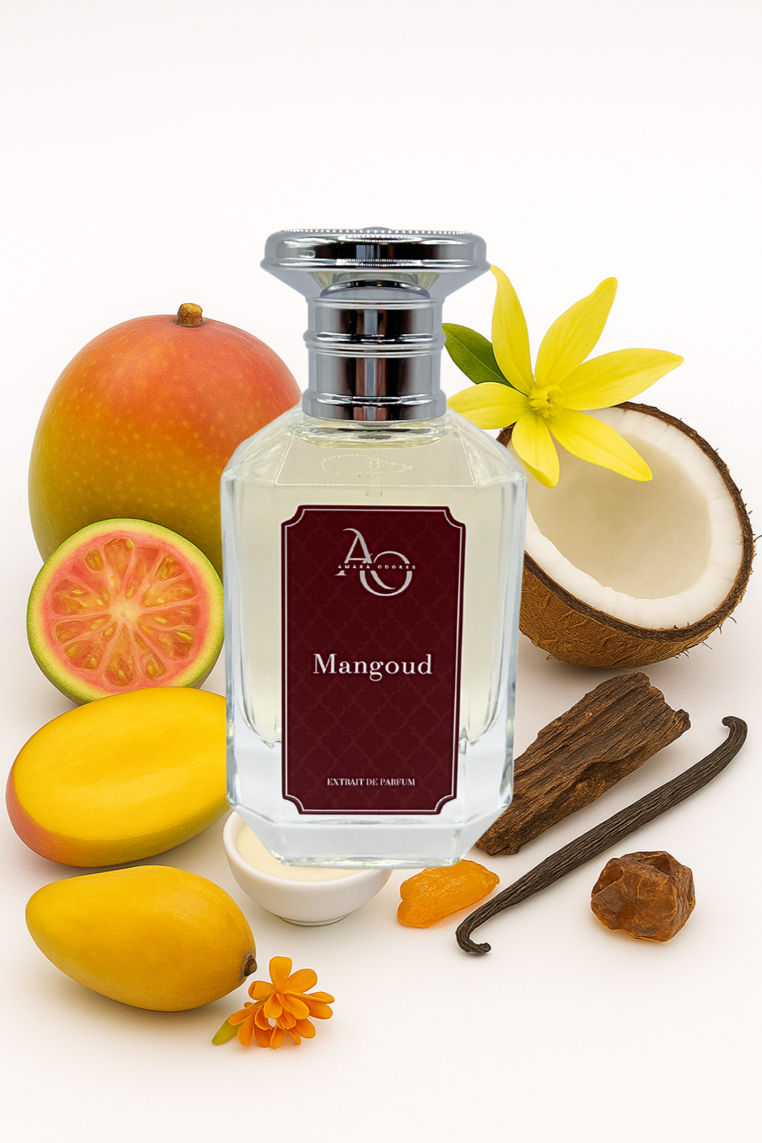 Mangoud